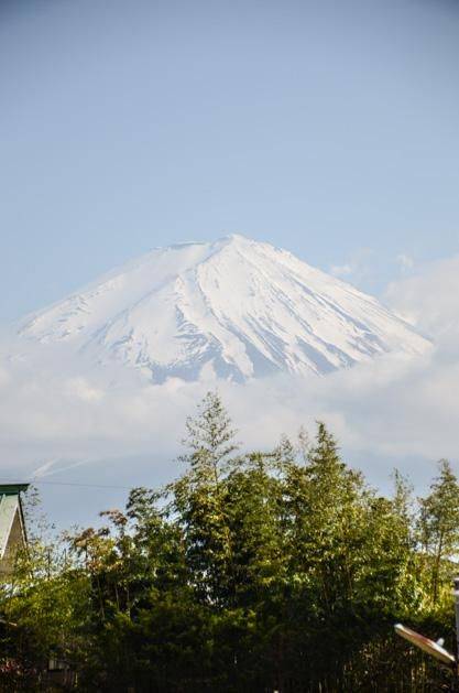 3d动漫专区 如果需要更具体的推荐或信息海报