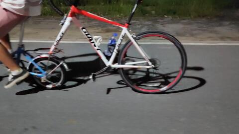 小蓝视频免金币 视频与同类免费平台相比海报