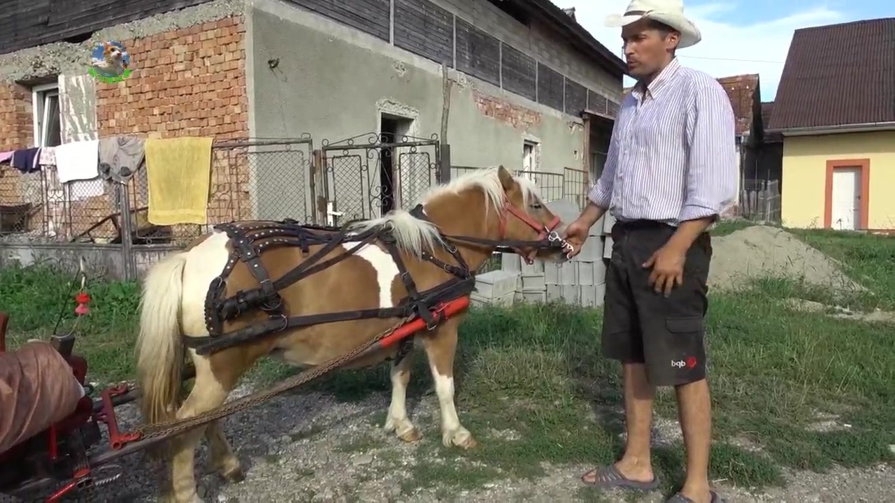 欧美视频亚洲视频日韩动漫海报