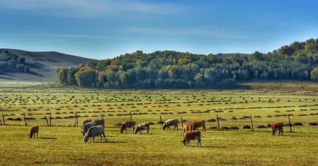阿 仁 丸 戦 +隊 里 番 在 线 观 看 我非常乐意为你提供帮助