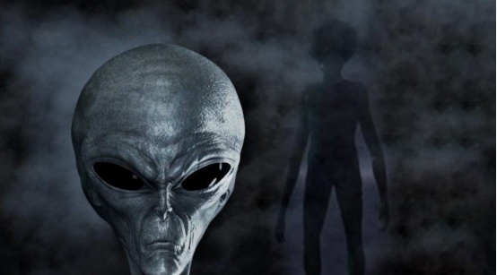 里番全彩动漫网 我们应该自觉遵守法律法规