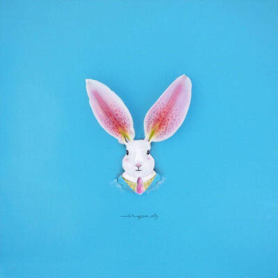 樱花3d 获得极高精度的樱花基础模型