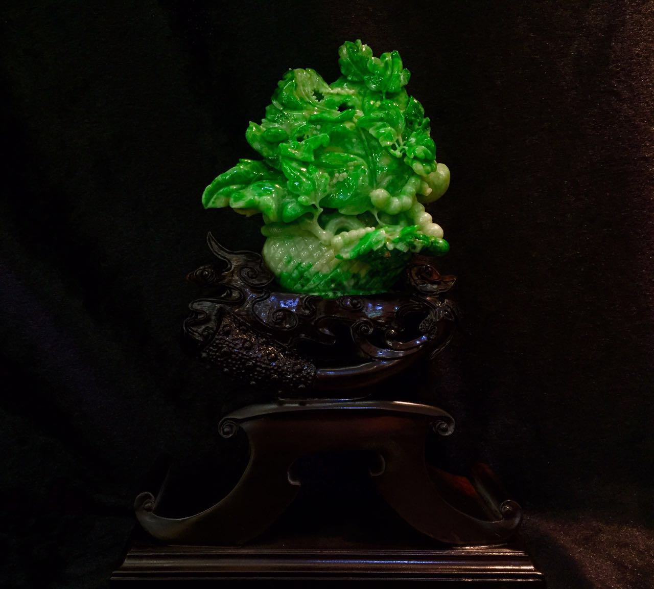 GTV一同看gtv蓝颜海报