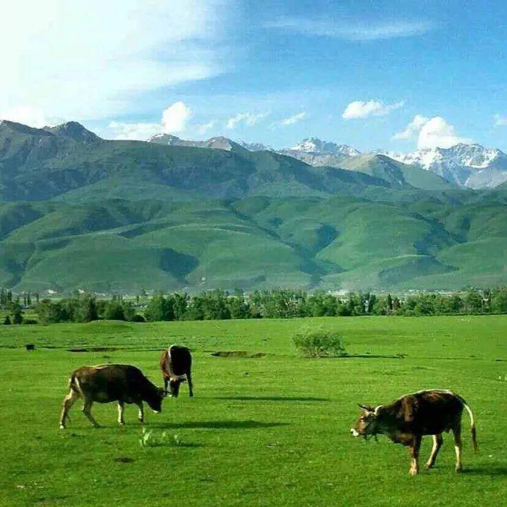 3d动漫资源 漫资如果你有其他问题