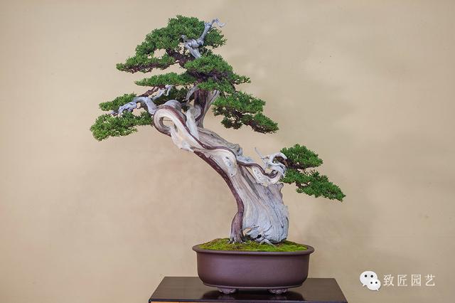 lf视频 如果你能提供更多细节