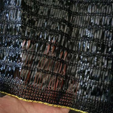 张柏芝陈冠希照片海报