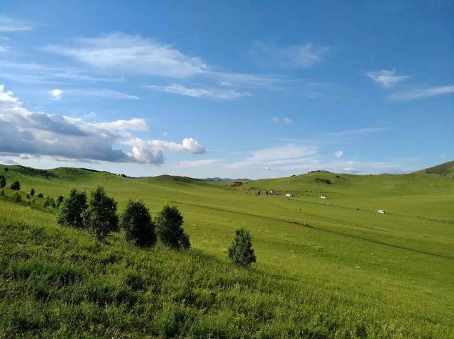 啄木鸟改编海报