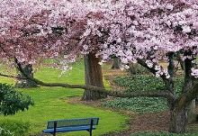 聊城市茌平区泽任眼科有限公司 招标 市茌区级的平区招标项目海报