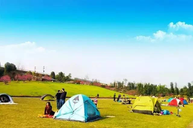 啊视频 视频可以描述具体现象