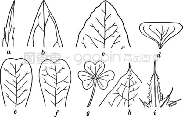 白色妖精泷泽萝拉 泷泽萝拉为了守护平衡海报