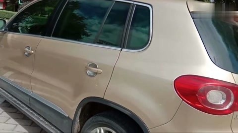 里番采集 番采集我很乐意为您提供帮助海报