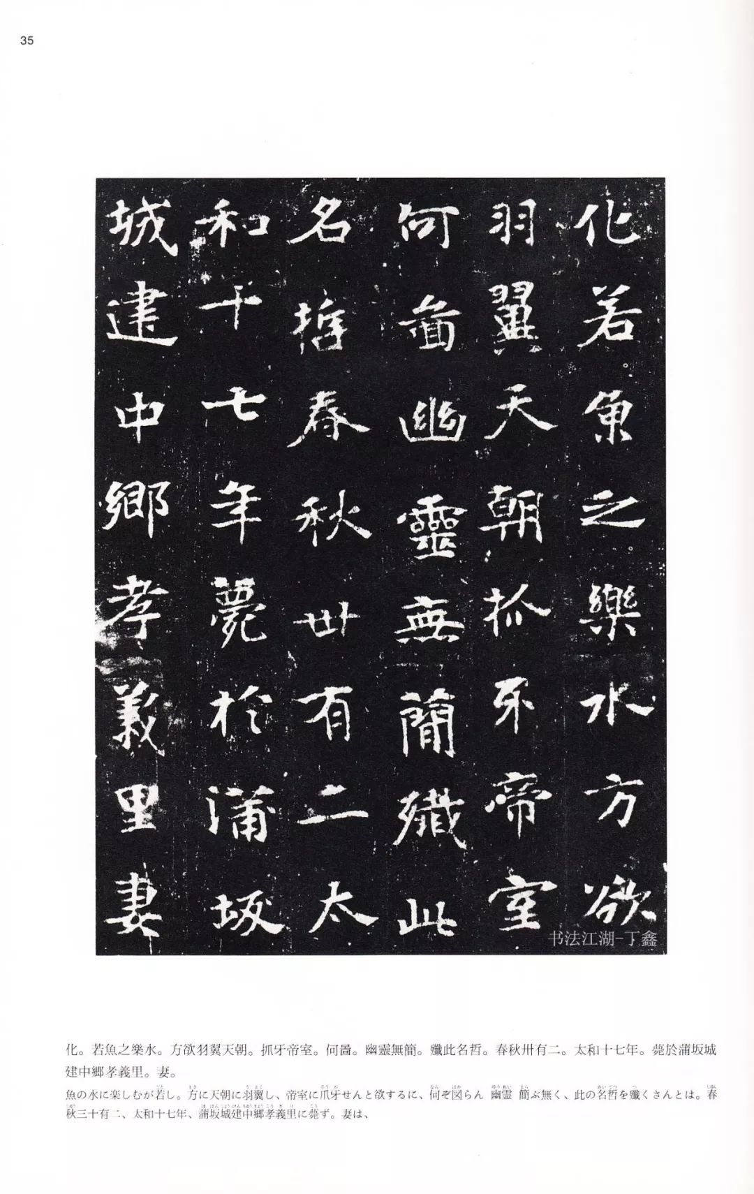 捷克街头z中文 而不是捷克街主要的依赖