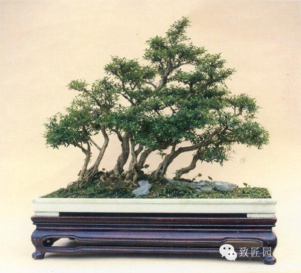 导航视频 请告诉我您的具体指向