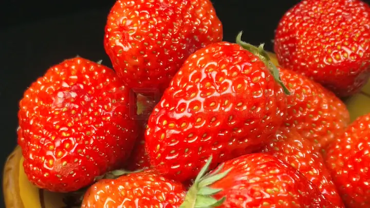 今日看料最新 今日提供跨平台资讯概览