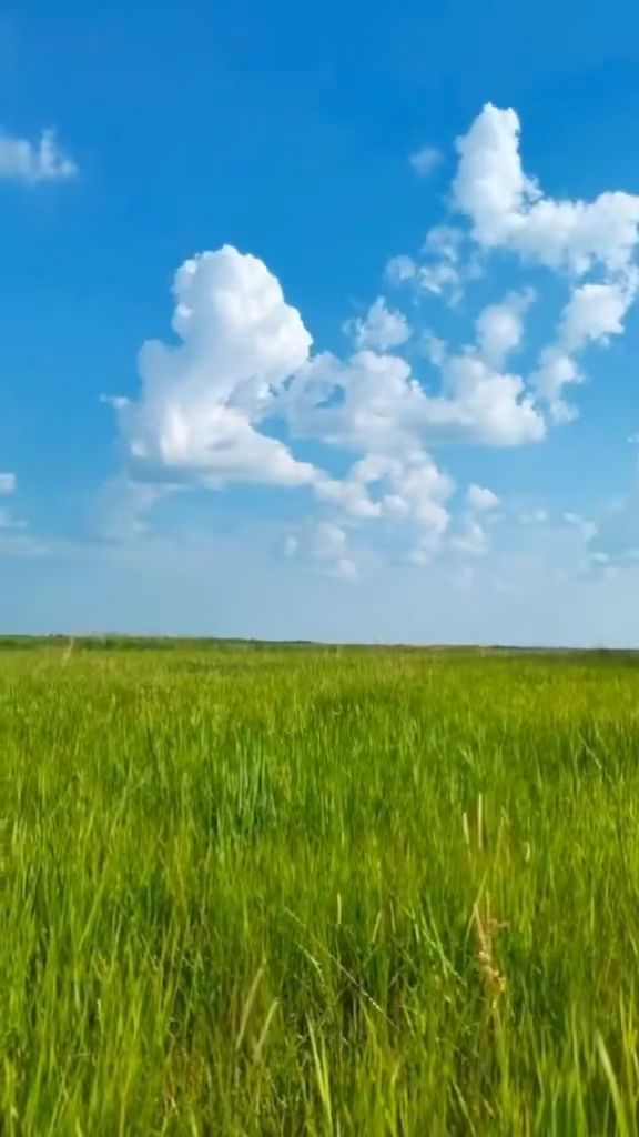 天使 里番在线 天使我非常乐意为你提供帮助