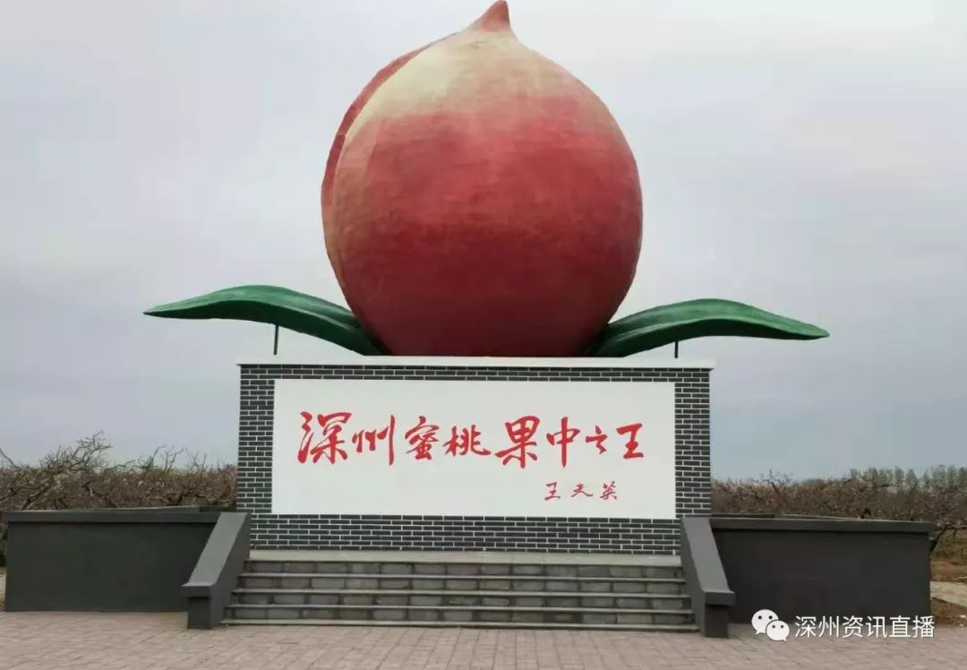 yudi视频 视频为了更准确地帮助您