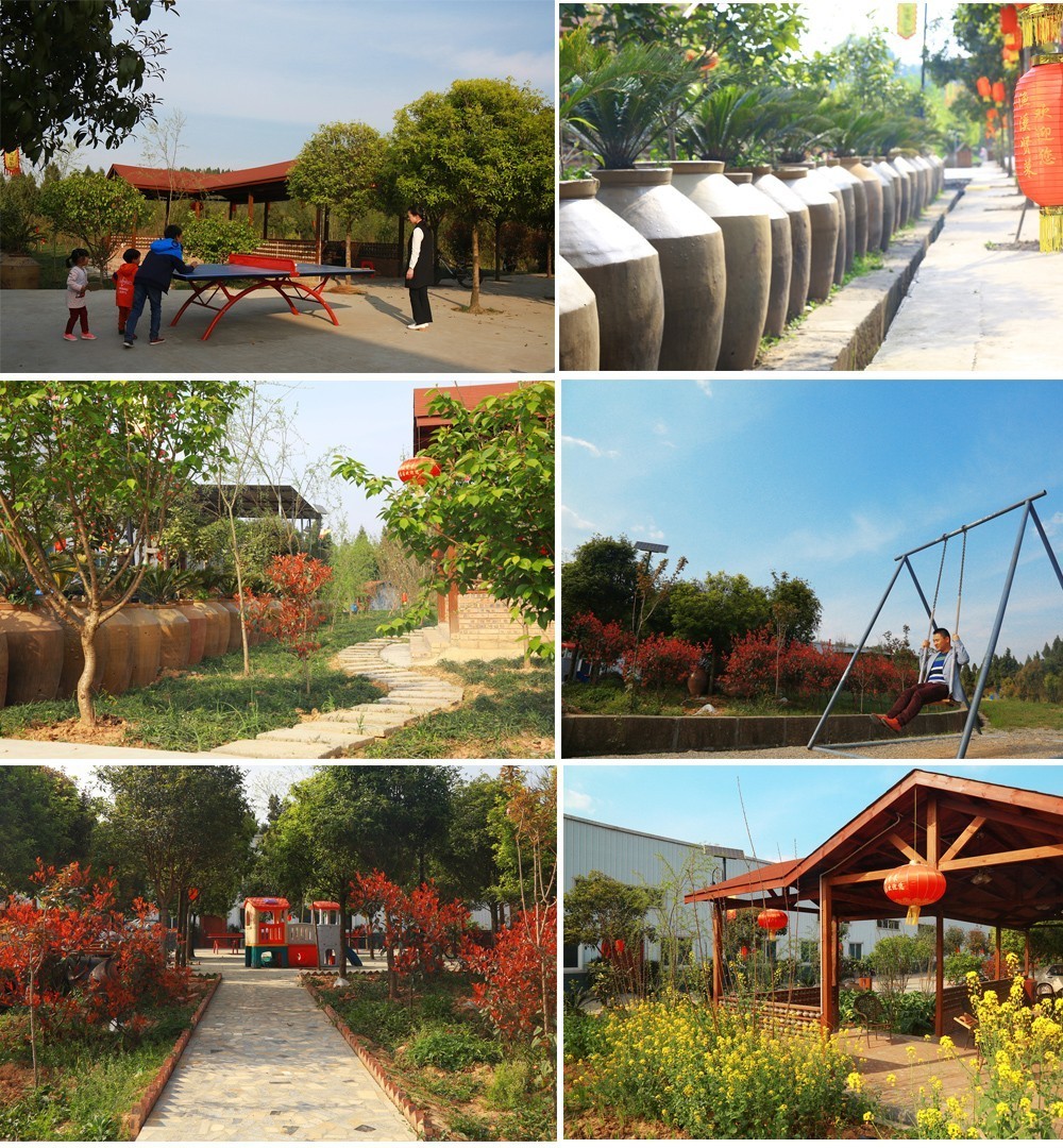 糖心tv官网 无过多复杂功能干扰