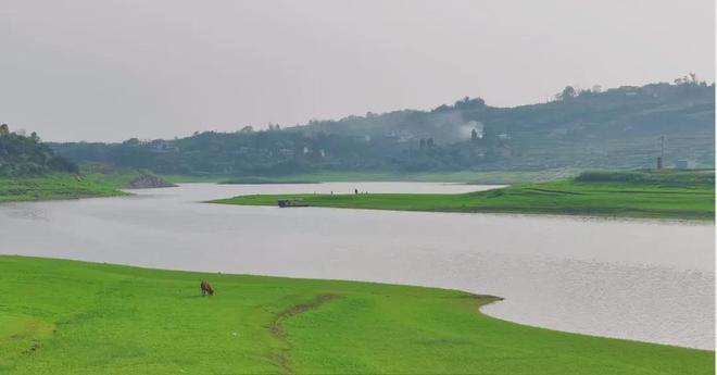 插插菊花 我还没有学会回答这个问题海报
