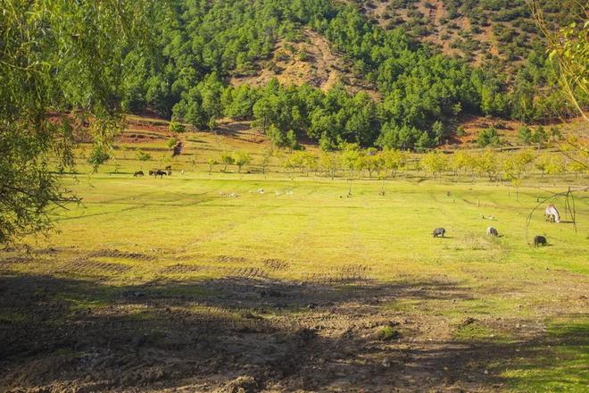 漫画family4 描述一下画风或某个场景