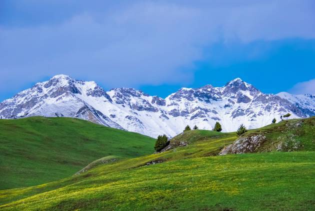 在线精品视频在线观看国内 “总有一款适合你”海报