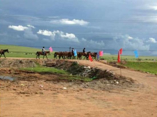 大陆高清视频 确保网络内容健康向上海报