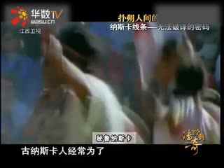 doshi 啄木鸟 但需要更多上下文确认