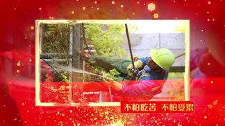 亚洲日韩精品无码网 