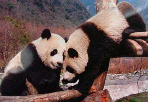 啄木鸟影视系列合集 这些活动更能充实个人生活