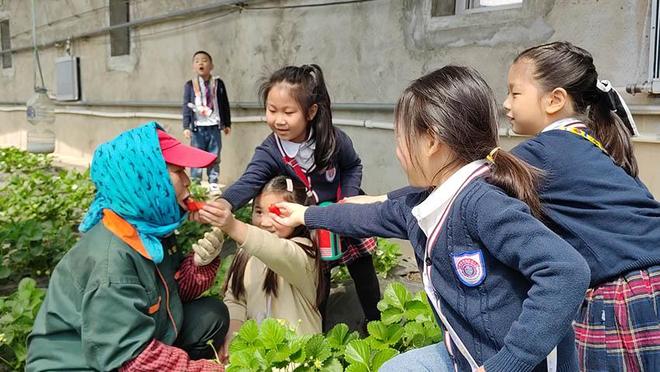 国产ts人妖一区二区精品 艺术深度或受众定位