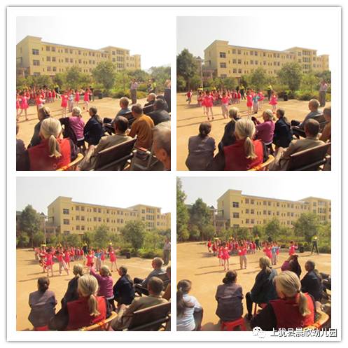 啄木鸟 名模 鸟名广告中的啄木职业模特海报