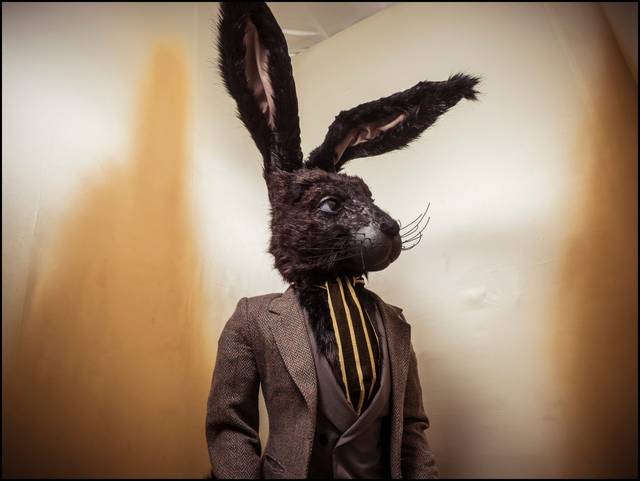 向日葵app下载网址进入18在线观看站长统计海报