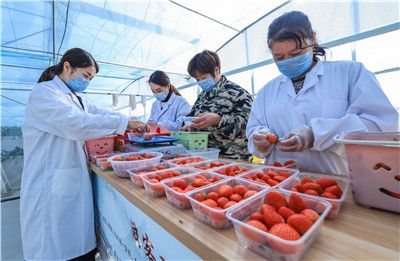 17吃瓜每日大赛，每日大赛校园大赛反差大赛海报