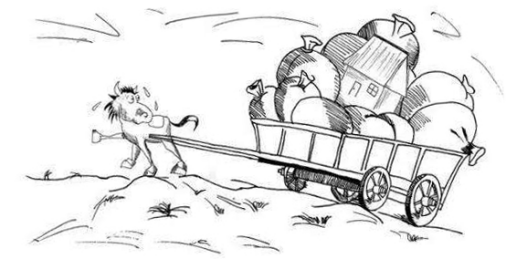 视频最多播放海报